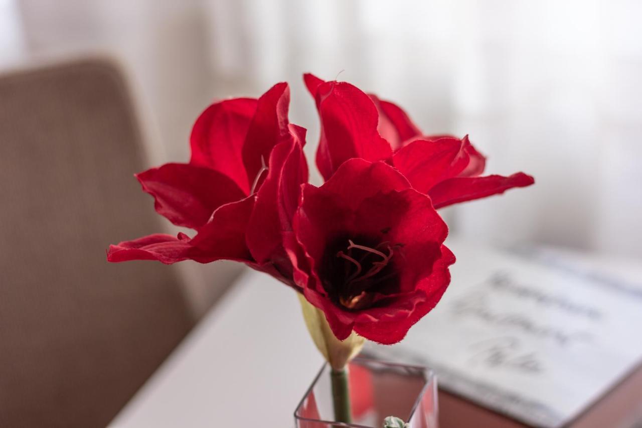 Downtown Apartment Pula